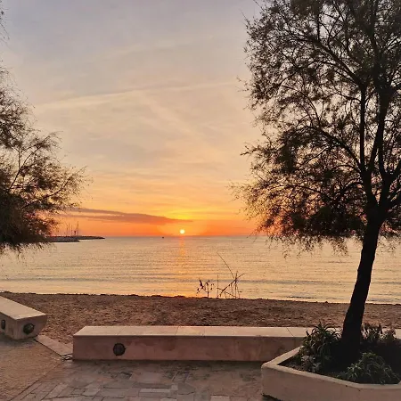 Au Lavandou - 4 Couchages, Climatise, Balcon, Piscine, Parking Inclus - Fr-1-251-480 Apartmán *