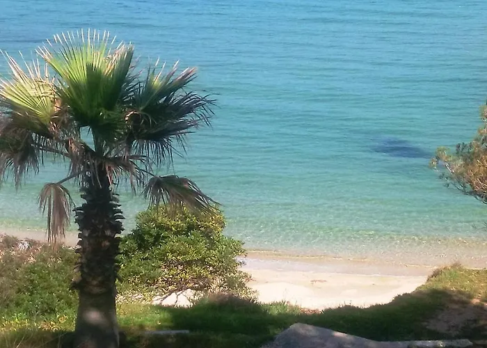 Apartment Au Lavandou - 4 Couchages, Climatise, Balcon, Piscine, Parking Inclus - Fr-1-251-480 Le Lavandou