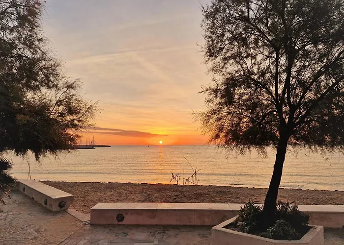 Au Lavandou - 4 Couchages, Climatise, Balcon, Piscine, Parking Inclus - Fr-1-251-480 Apartment *